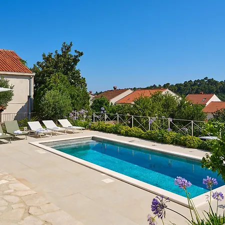 Hedera Estate Hedera Xviii