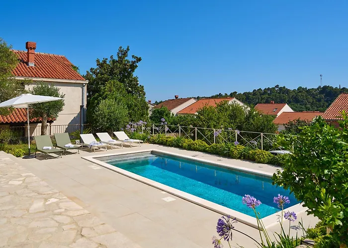 Hedera Estate Hedera Xviii